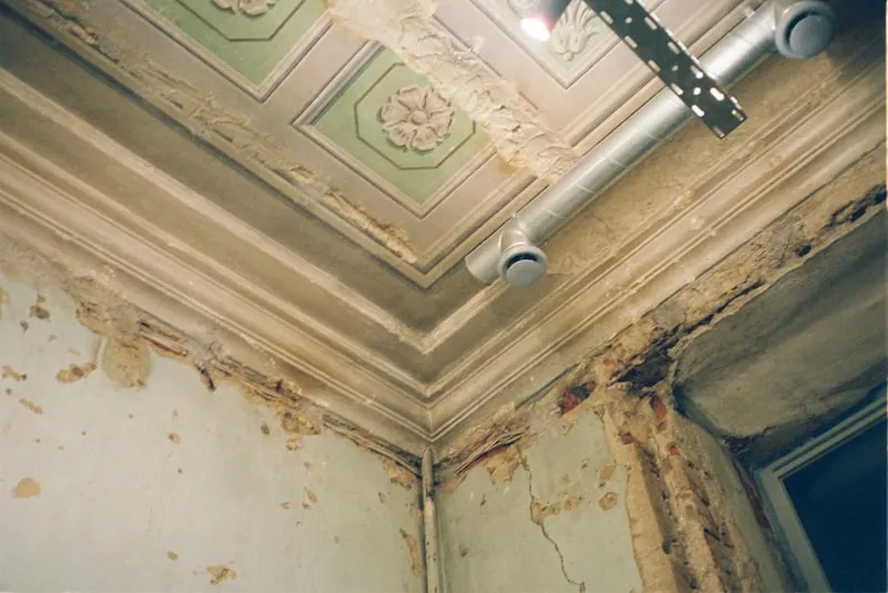 Water damage and mold growth on a ceiling — peeling paint and discoloration from moisture intrusion